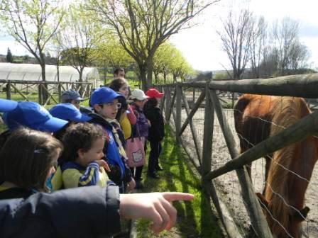 20140322 - Lobitos na Quinta Pedagogica