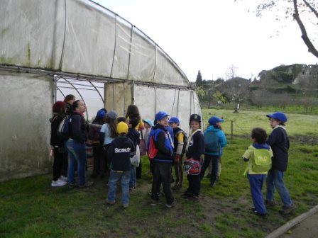 20140322 - Lobitos na Quinta Pedagogica