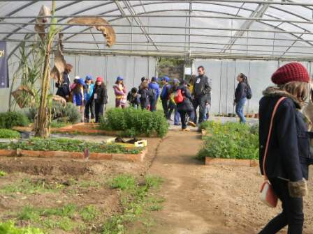 20140322 - Lobitos na Quinta Pedagogica